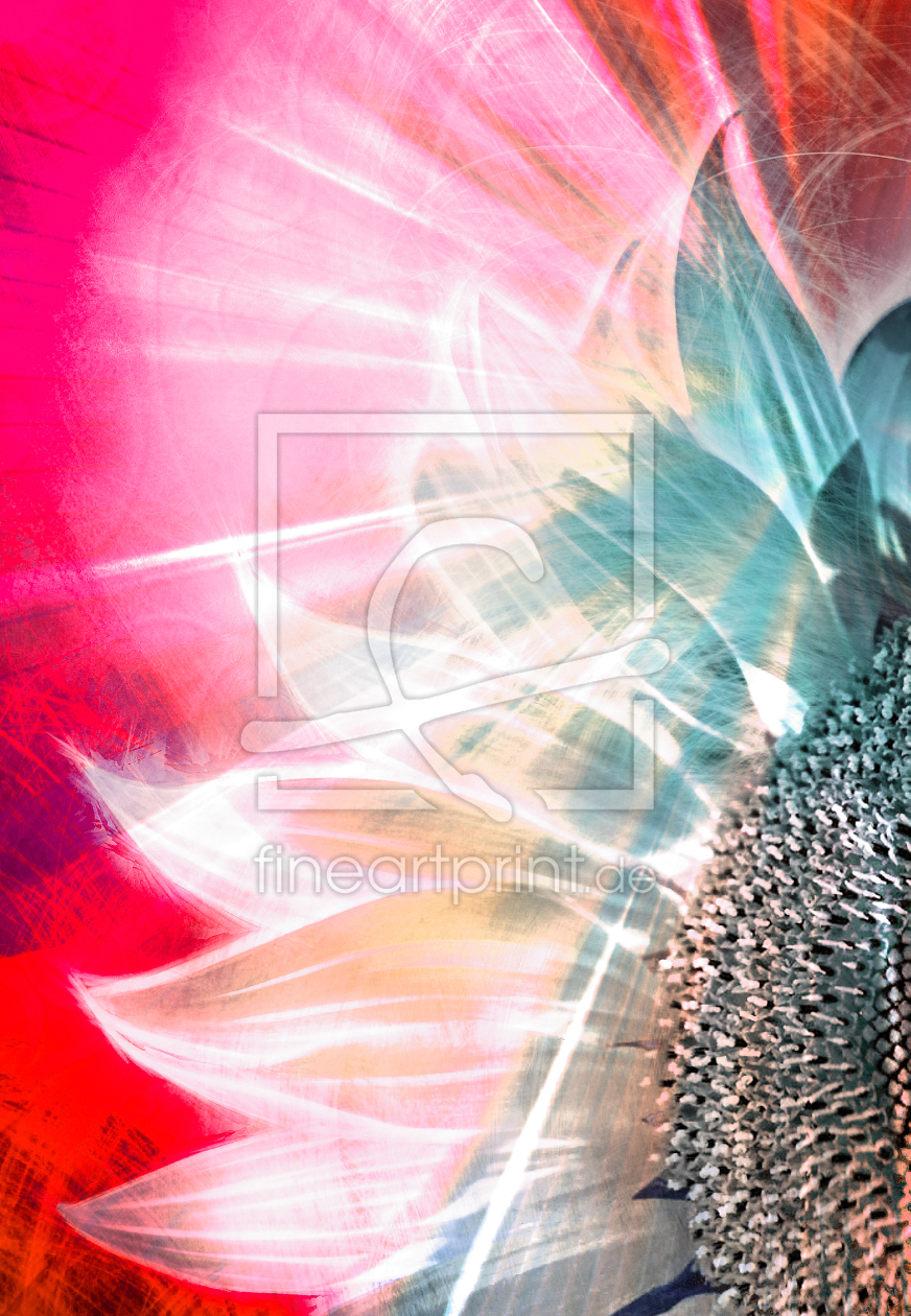 Bild-Nr.: 10273975 Sonnenblume erstellt von Galerie-Fotoeffekt