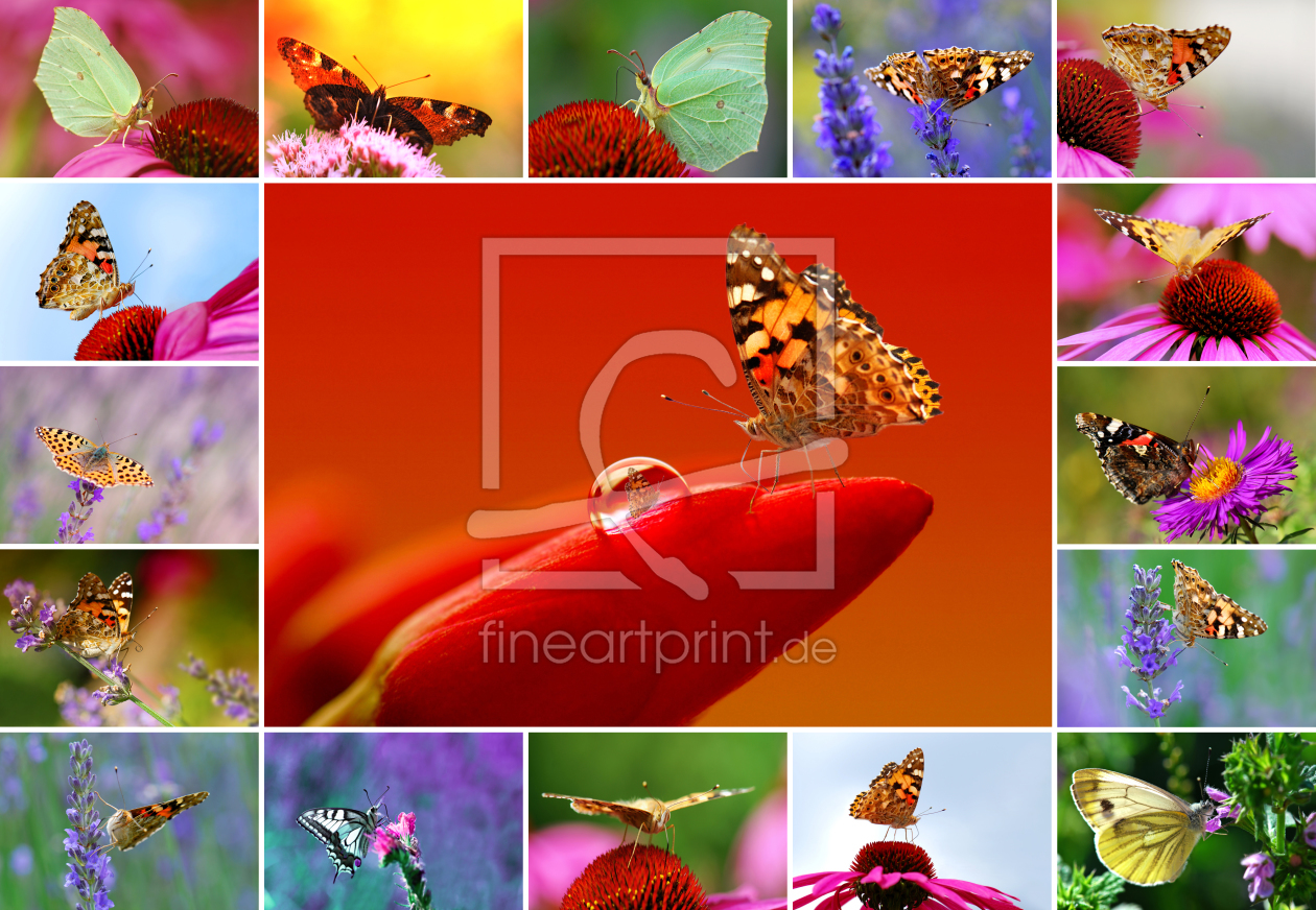 Bild-Nr.: 10274867 Schmetterlinge erstellt von Atteloi