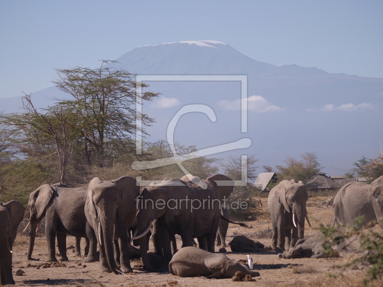 Bild-Nr.: 10275601 Elefanten am Kilimanjaro erstellt von ripp