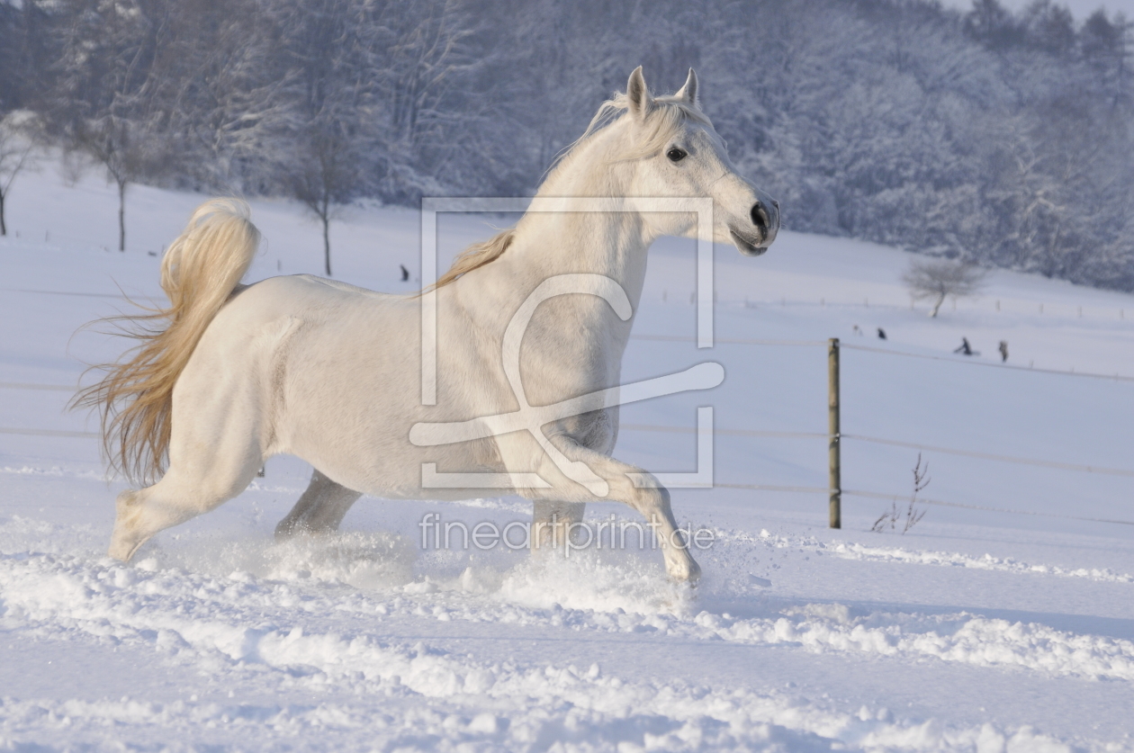 Bild-Nr.: 10276891 Wintermärchen erstellt von NiKu