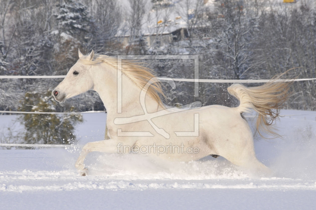 Bild-Nr.: 10276899 Schnee-Spaß erstellt von NiKu