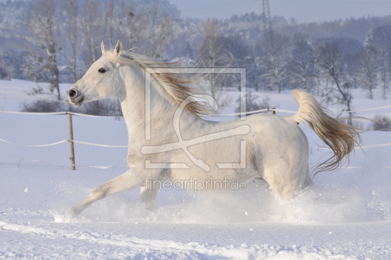 Bild-Nr.: 10276909 Wintermärchen II erstellt von NiKu