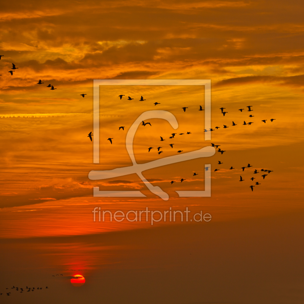 Bild-Nr.: 10287617 Sonnenaufgang erstellt von Hakrida