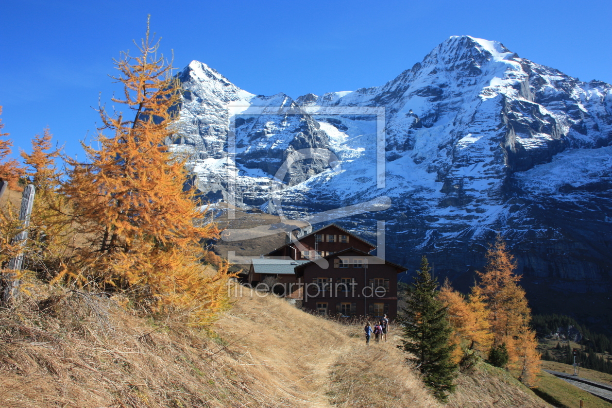 Bild-Nr.: 10290551 Wengernalp im Herbst erstellt von Bettina Schnittert