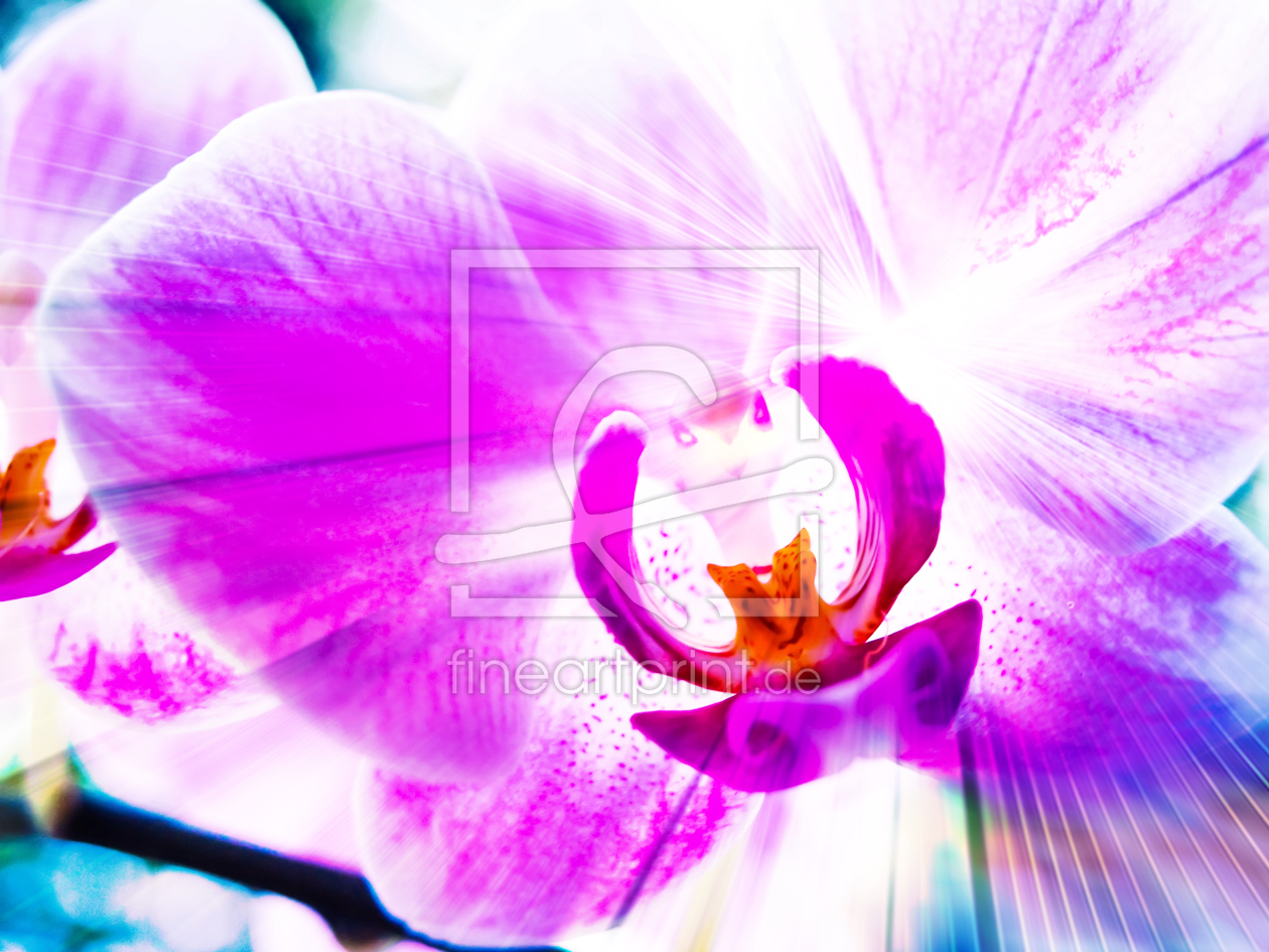 Bild-Nr.: 10294083 Orchidee erstellt von Galerie-Fotoeffekt
