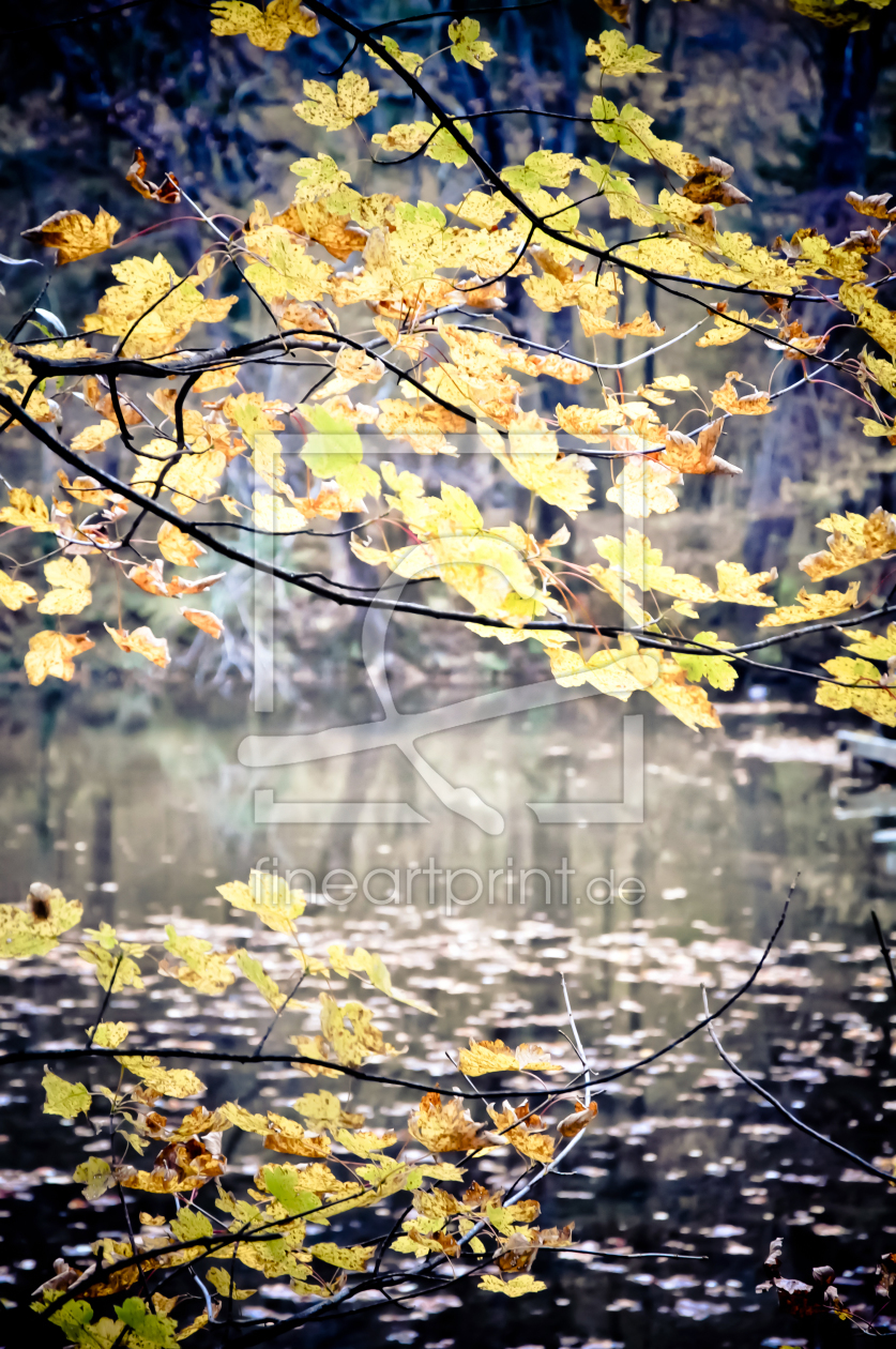Bild-Nr.: 10294113 Herbstlaub erstellt von picsbySaRa