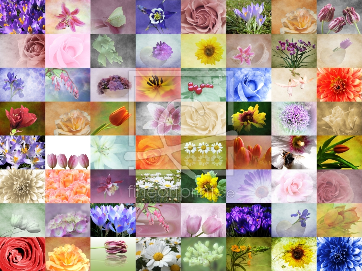 Bild-Nr.: 10297089 flowers erstellt von Anja Otto