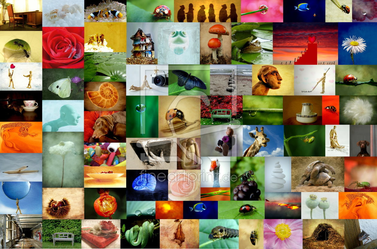 Bild-Nr.: 10297807 Collage  erstellt von Heike  Hultsch