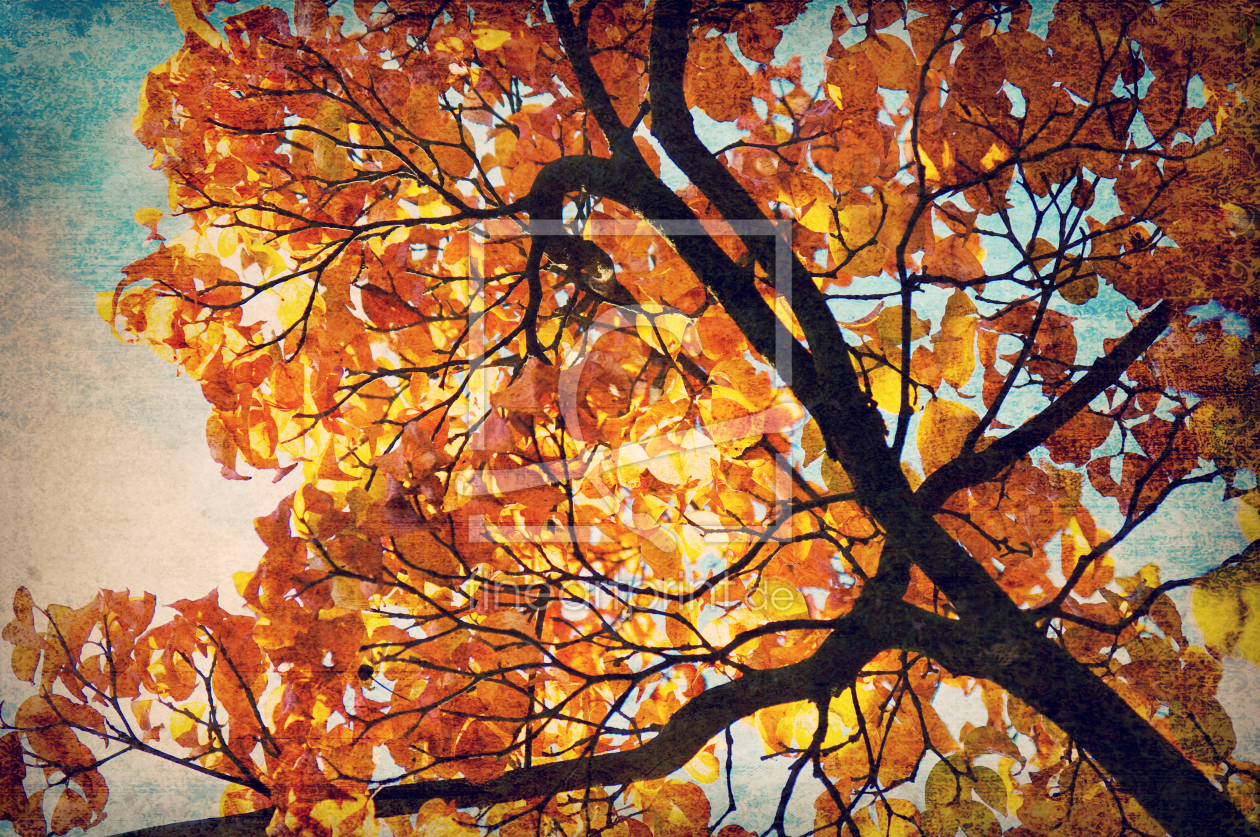 Bild-Nr.: 10299051 Abstrakte Herbstimpression erstellt von Angela  Dölling