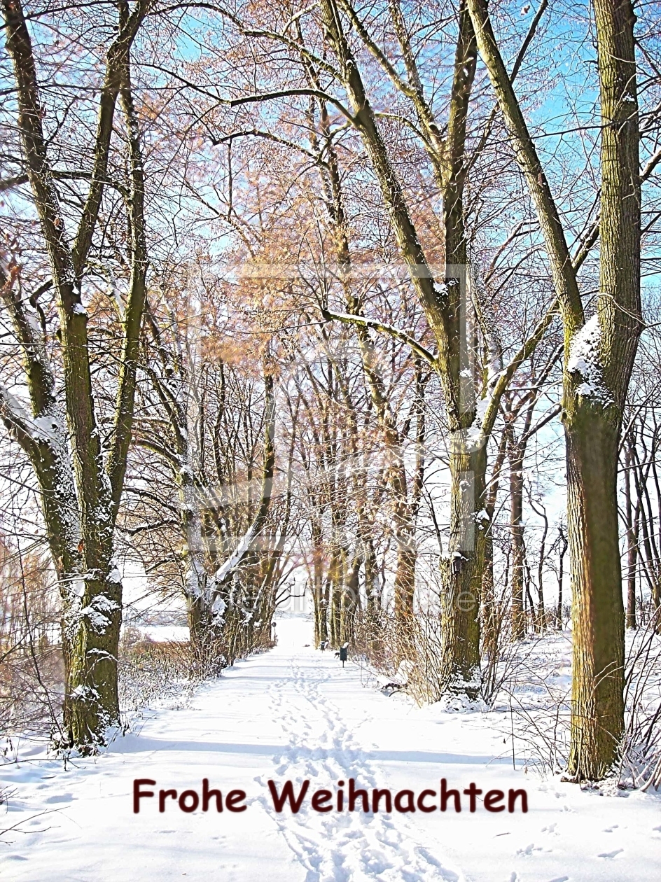 Bild-Nr.: 10299583 Weihnachtskarte erstellt von Marion227