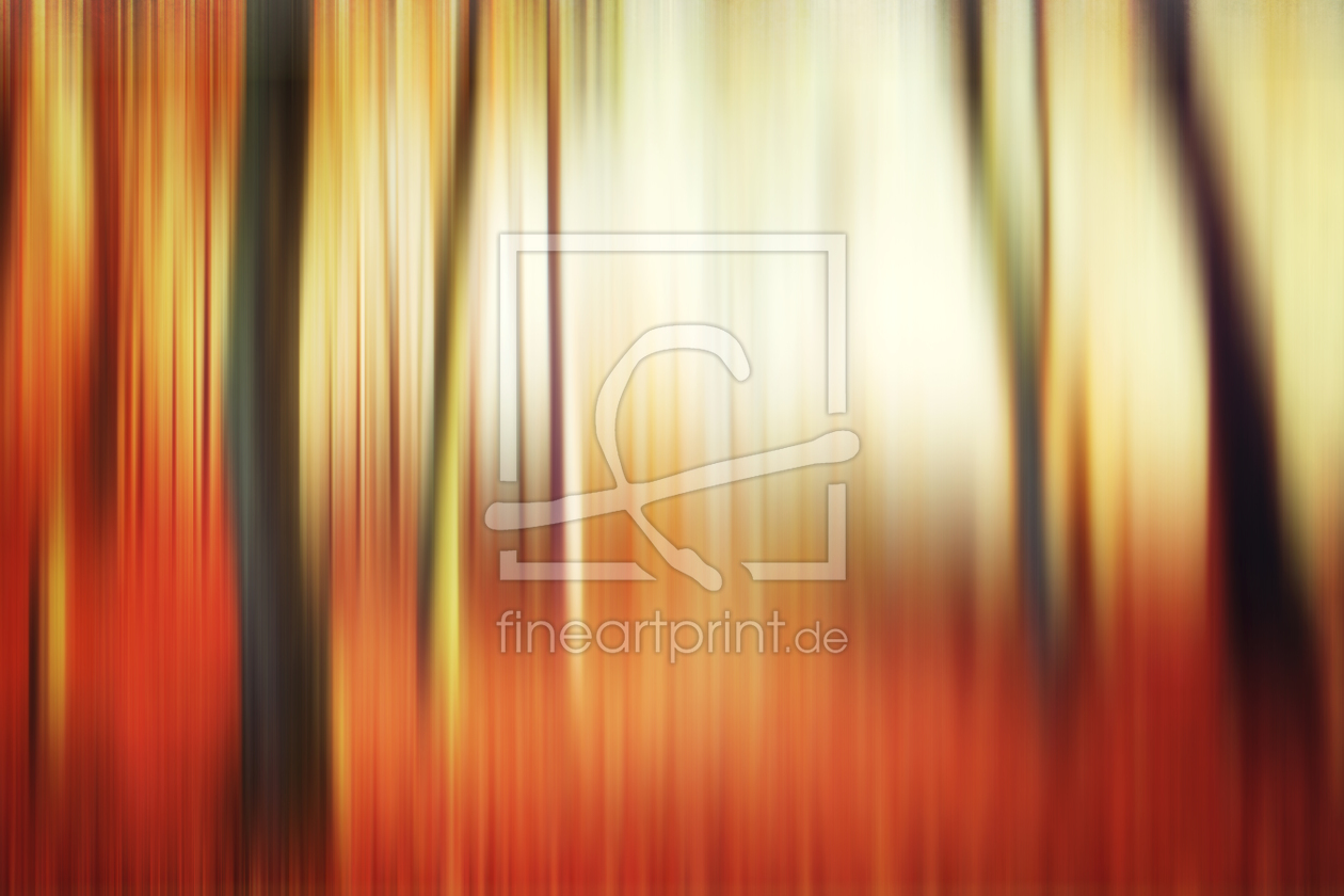 Bild-Nr.: 10301081 autumn : study VII erstellt von Timo Geble