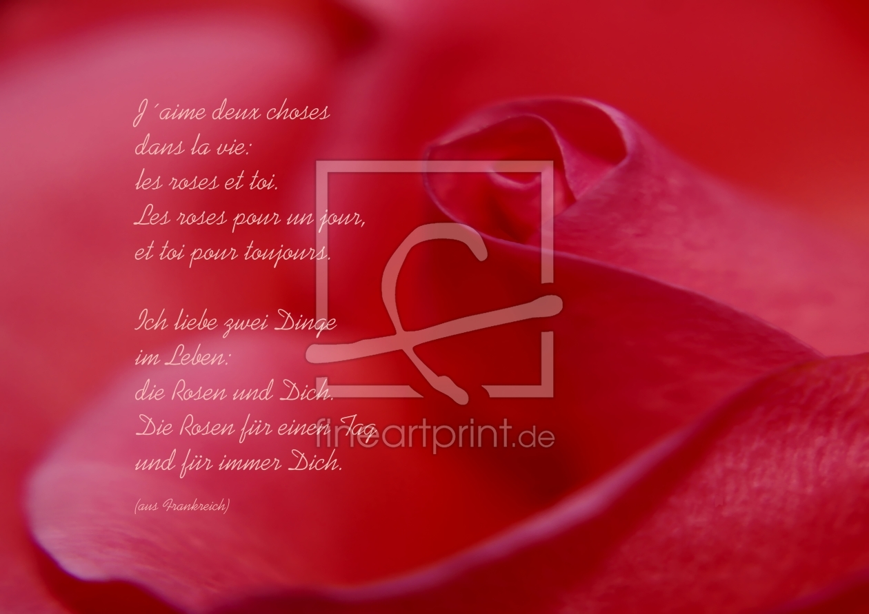 Bild-Nr.: 10306151 Les roses et toi erstellt von youhaveadream