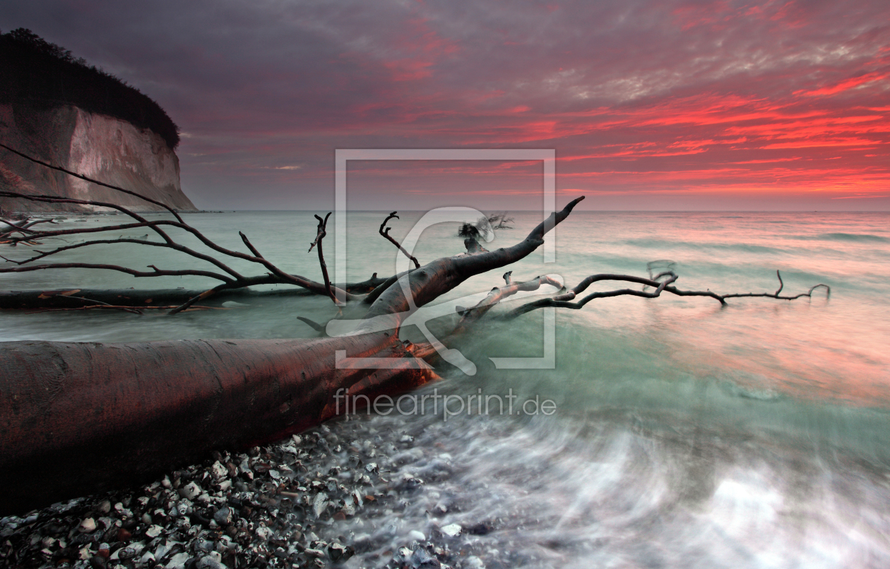 Bild-Nr.: 10308461 Strand gut erstellt von sk-photoart