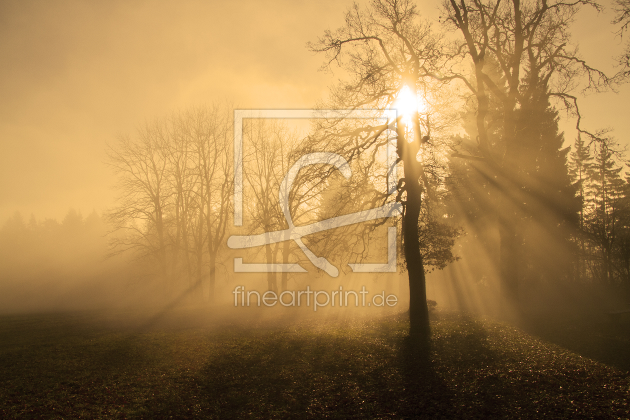 Bild-Nr.: 10309129 Herbstnebel erstellt von Fotostyler