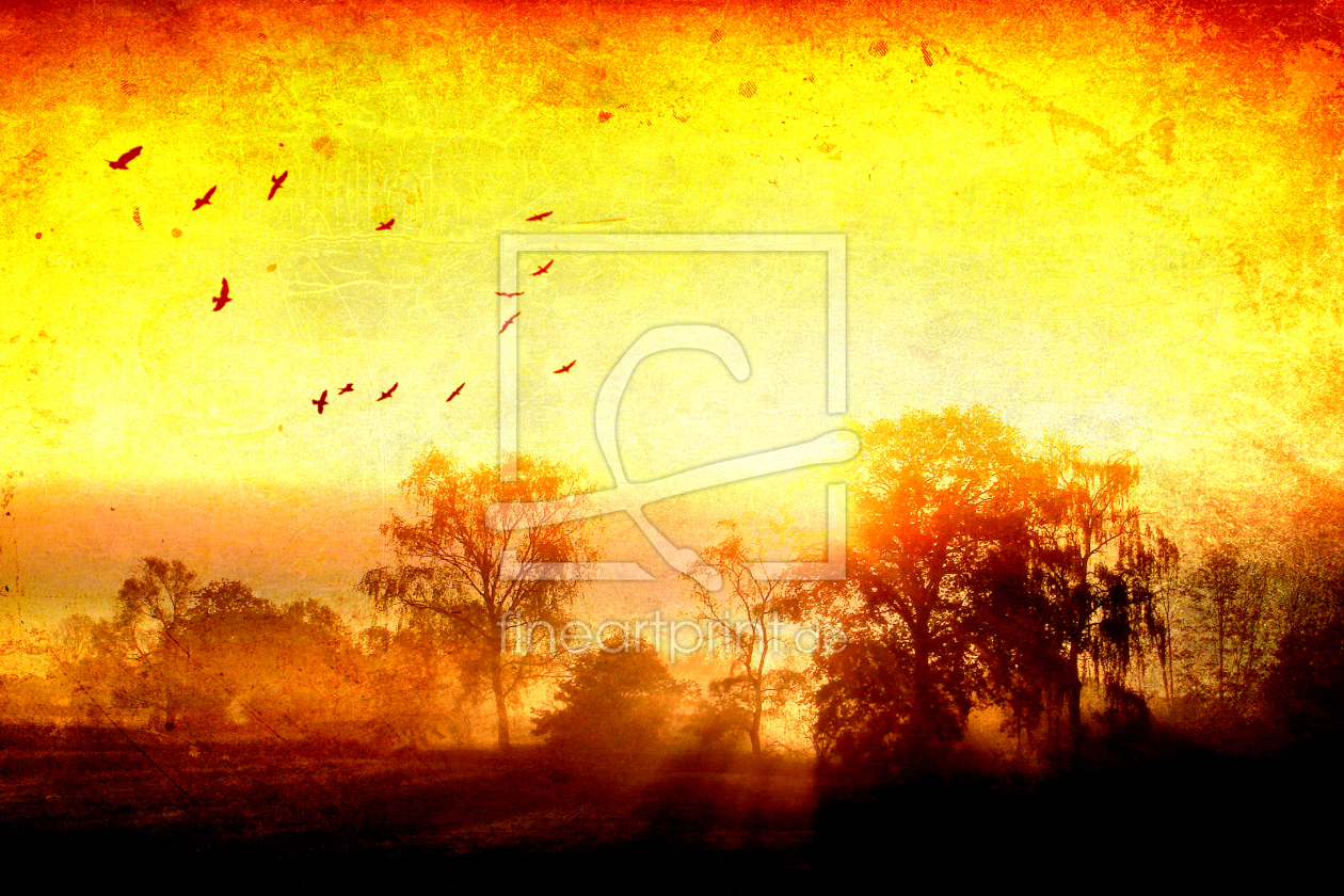 Bild-Nr.: 10309301 Birds in the morning sun erstellt von yammay
