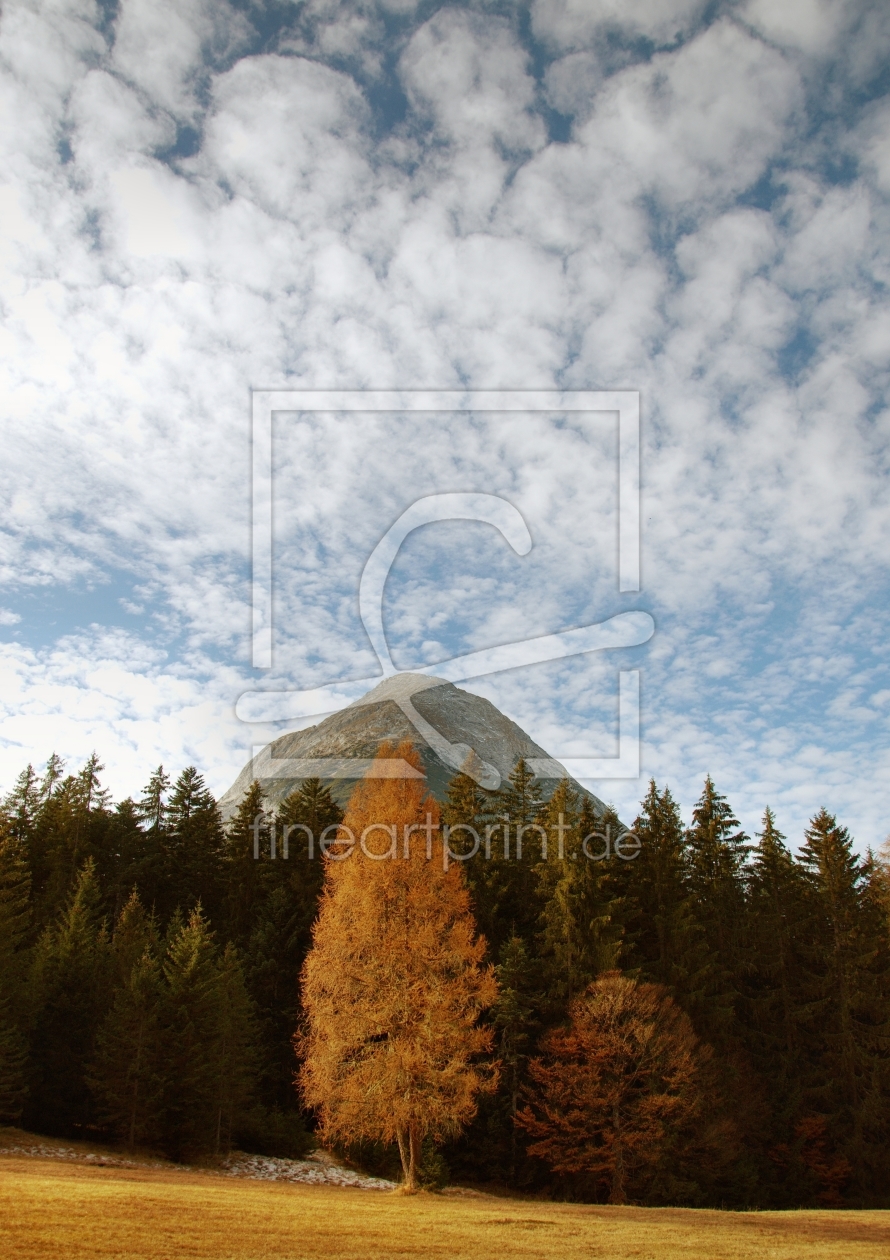 Bild-Nr.: 10309443 TIROL - Herbst erstellt von wompus