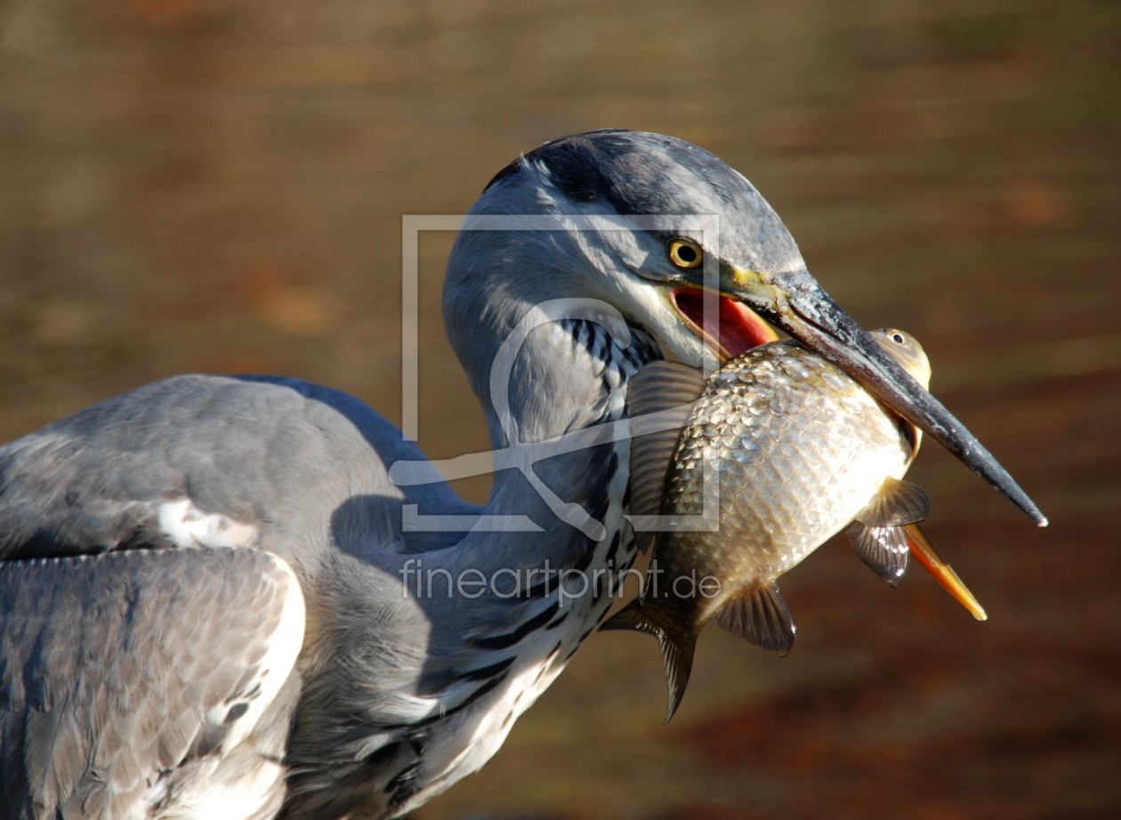 Bild-Nr.: 10309549 Mahlzeit!!! erstellt von GUGIGEI