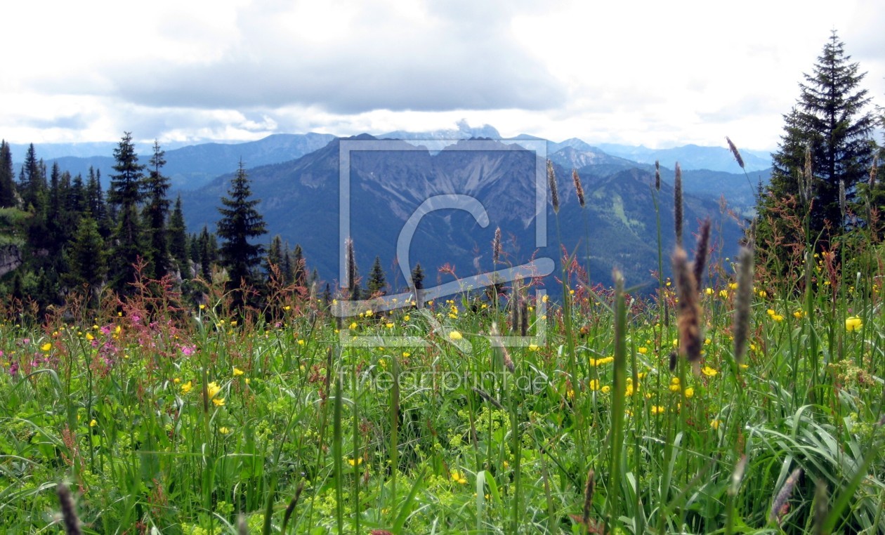 Bild-Nr.: 10313323 Alpenfrühling erstellt von lapera