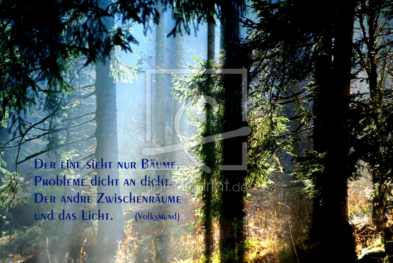 Bild-Nr.: 10317491 Licht erstellt von youhaveadream