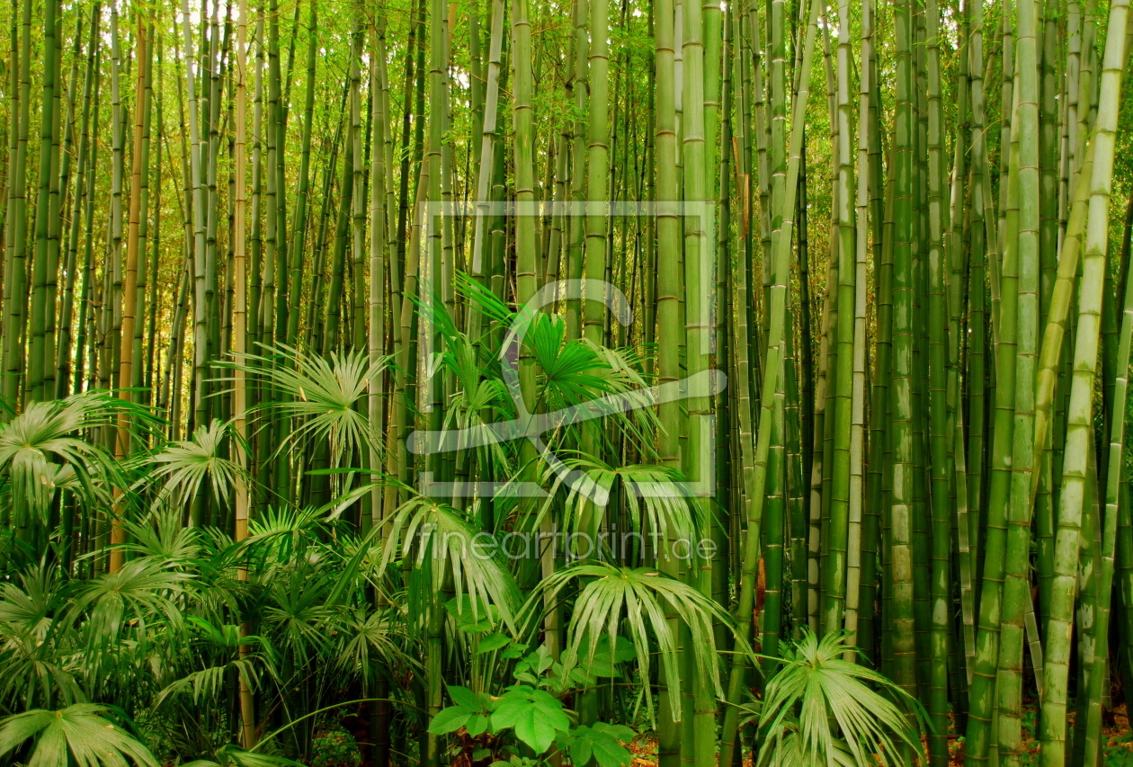 Bild-Nr.: 10320711 Bamboo Forest erstellt von GUGIGEI