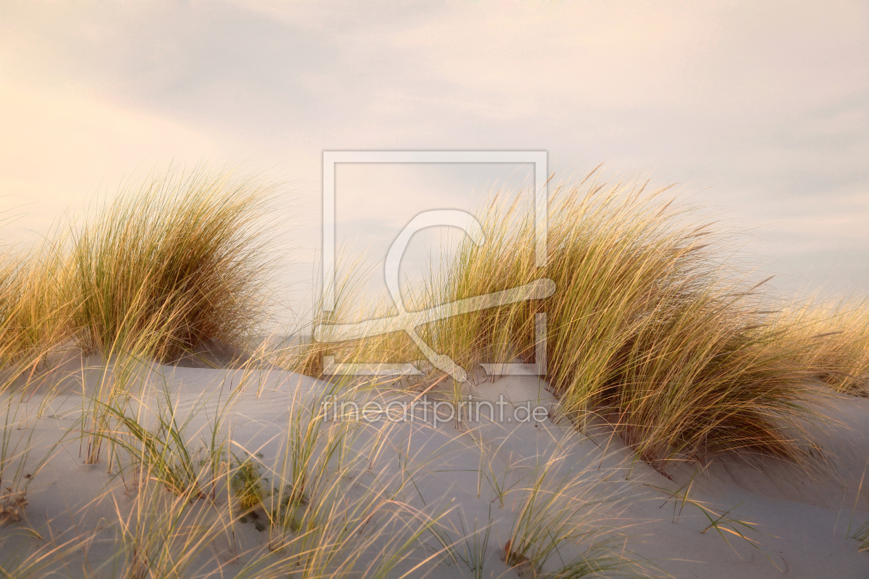 Bild-Nr.: 10320849 Autumn Dunes erstellt von FotoDeHRO