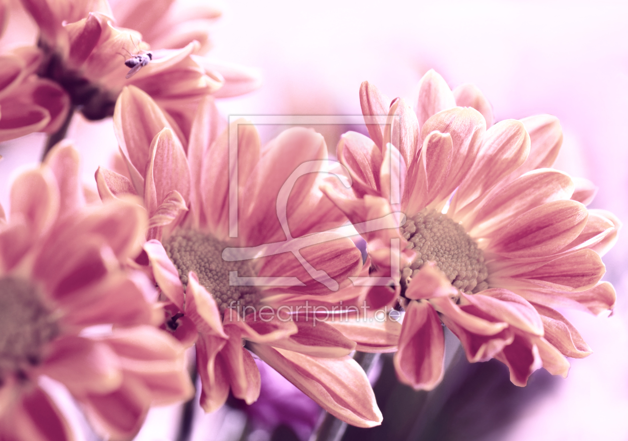 Bild-Nr.: 10323017 Blumen erstellt von Atteloi