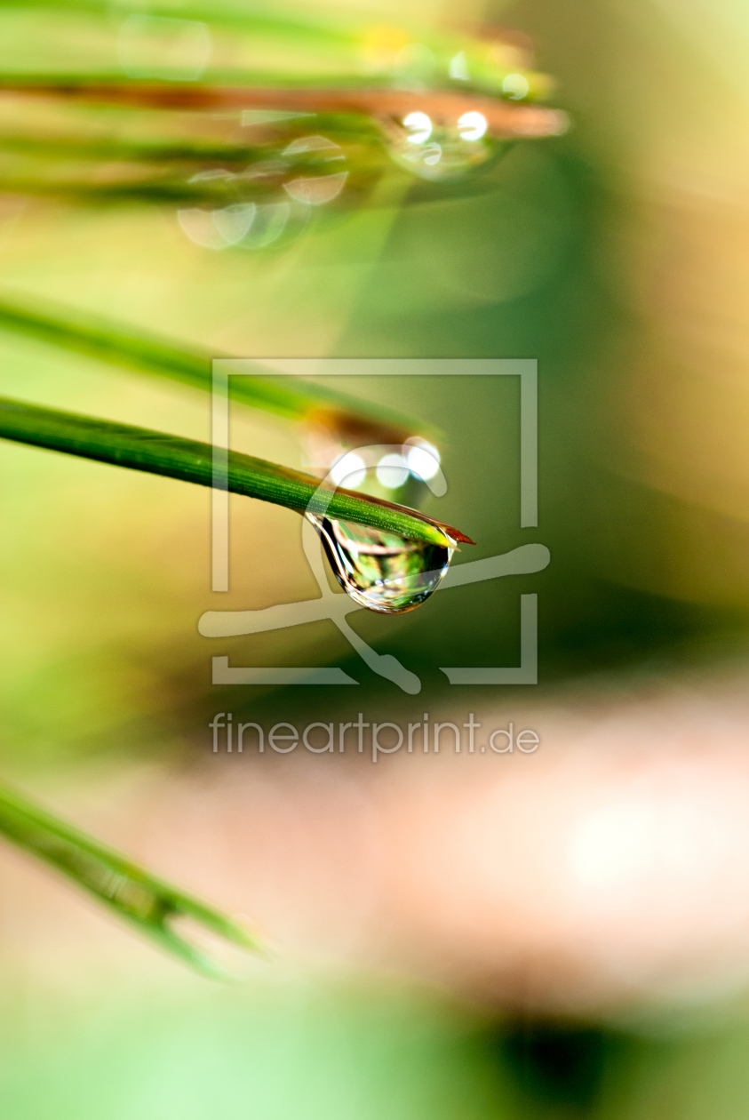 Bild-Nr.: 10323367 Wassertropfen auf einem Blatt erstellt von fotocui