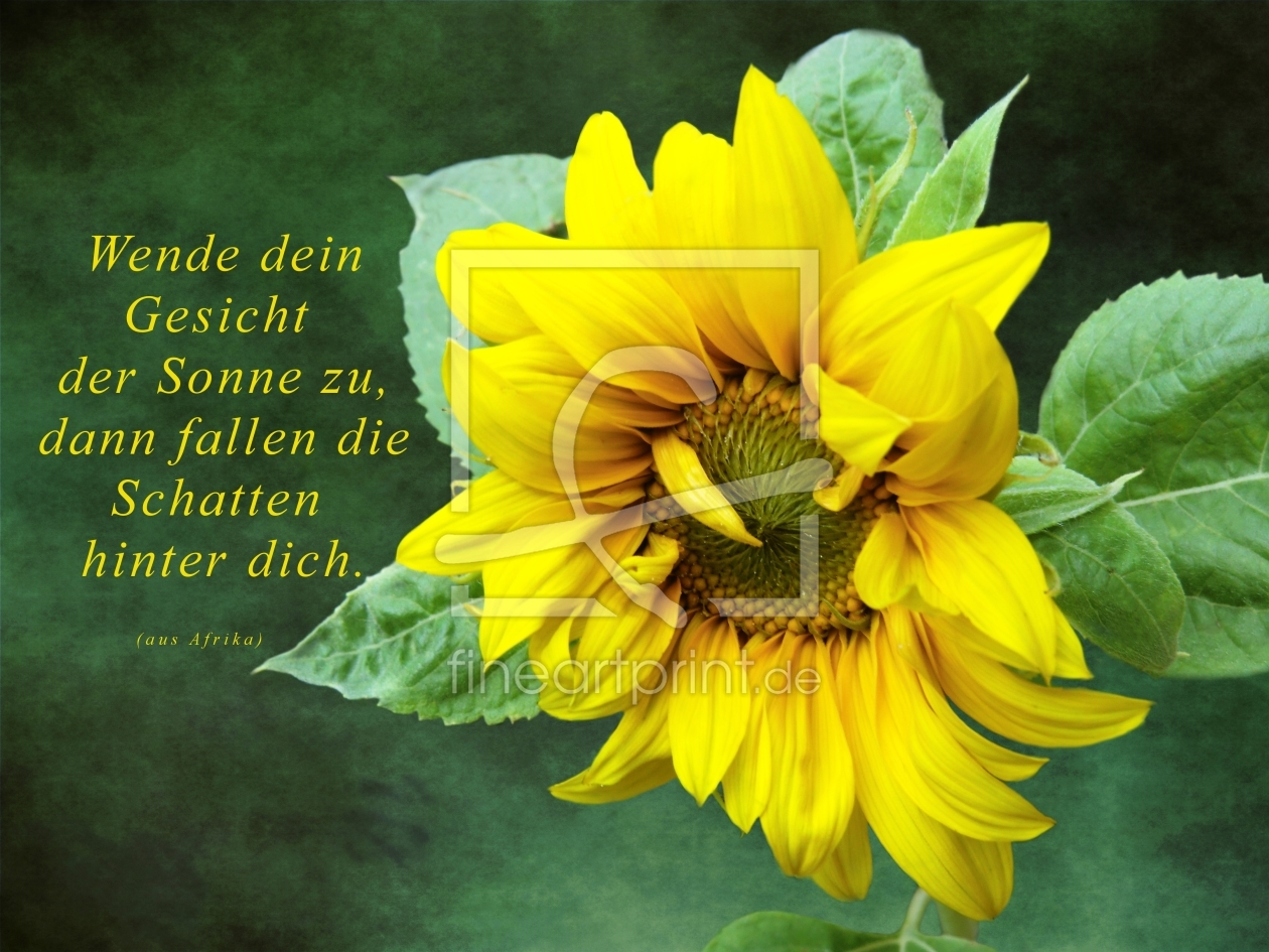 Bild-Nr.: 10328473 Sonnenblume erstellt von Anja Otto