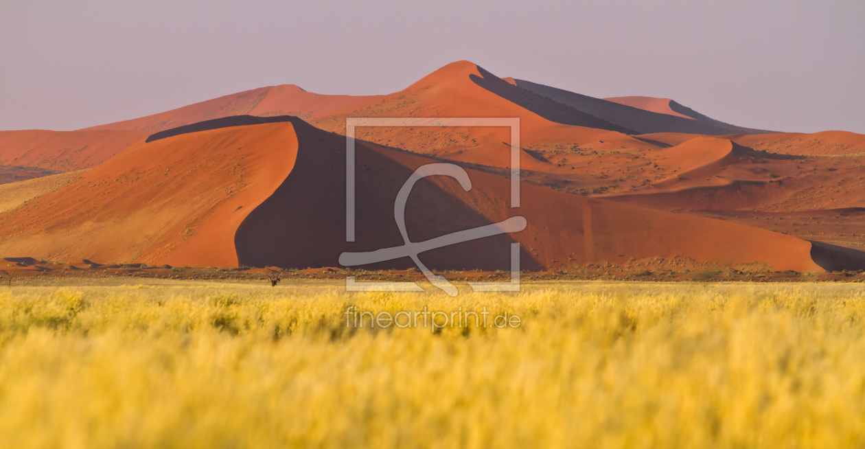 Bild-Nr.: 10336359 Rote Dünen der Namibwüste erstellt von janschuler
