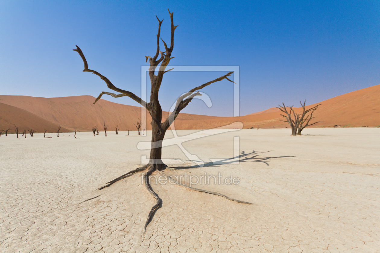 Bild-Nr.: 10336671 Dead Vlei, Namibia erstellt von janschuler