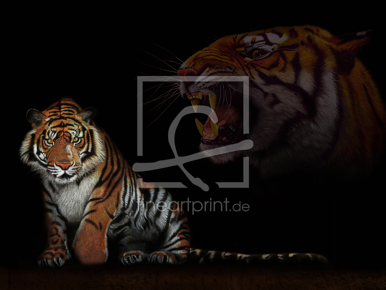 Bild-Nr.: 10337205 Farbstiftzeichnung Tiger love 2  erstellt von Mausopardia