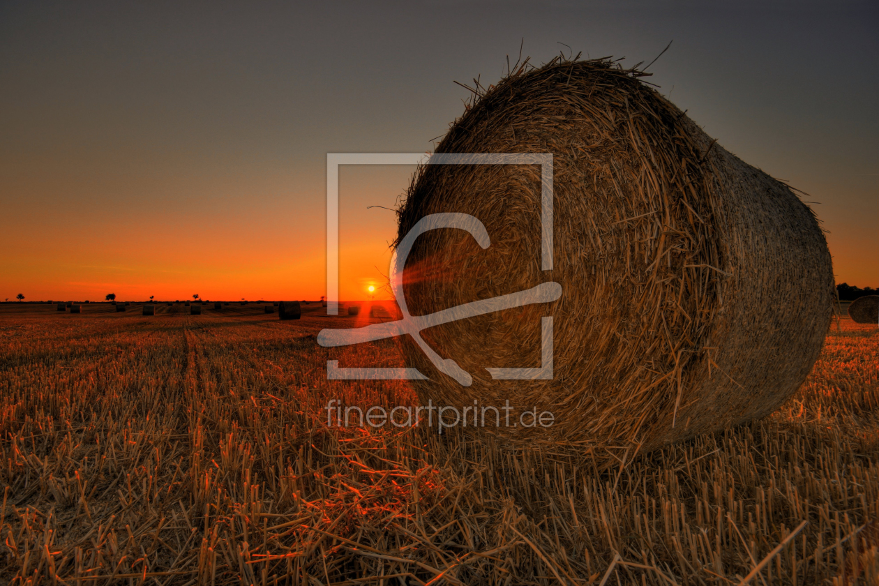 Bild-Nr.: 10339619 Rundballen III erstellt von PhotoArt-Hartmann