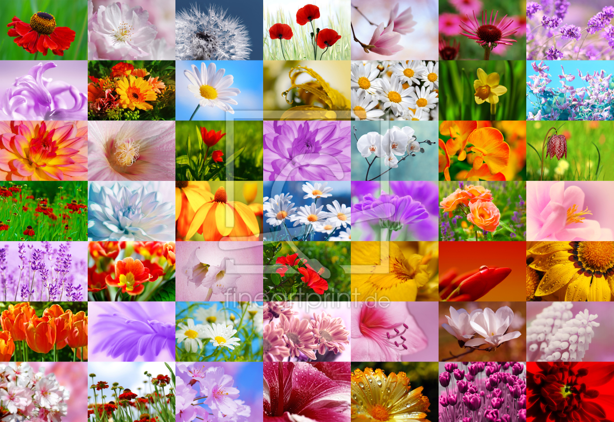 Bild-Nr.: 10341405 Blumen Collage erstellt von Atteloi