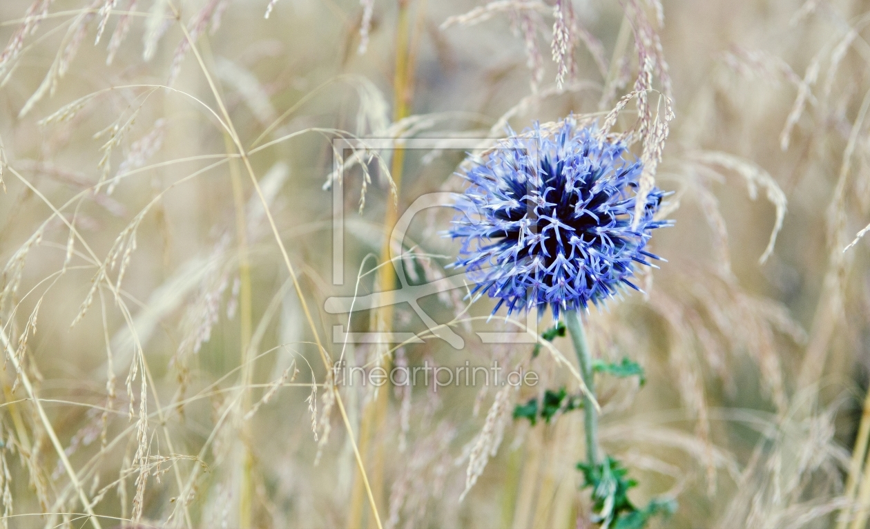 Bild-Nr.: 10344983 blue emotion erstellt von wompus