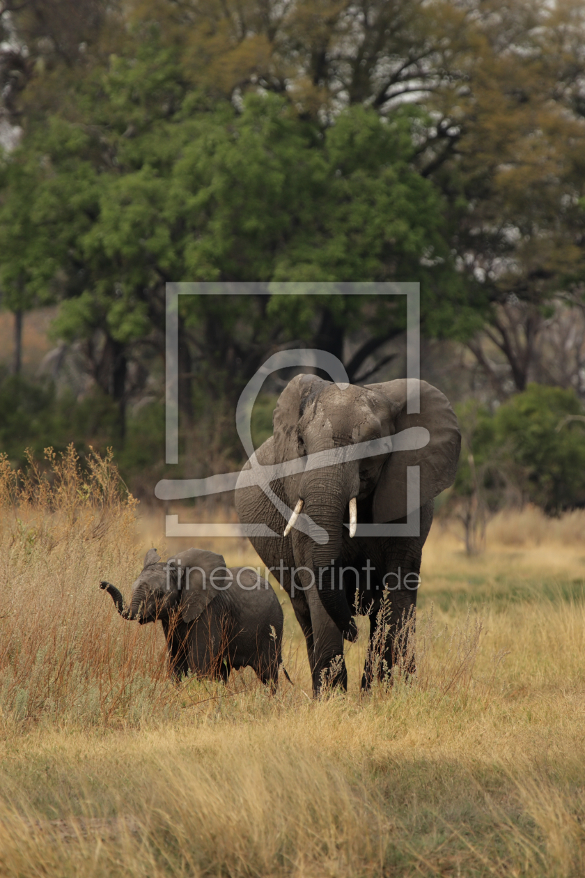 Bild-Nr.: 10347459 Elefanten-Mutter mit Kind erstellt von DirkR