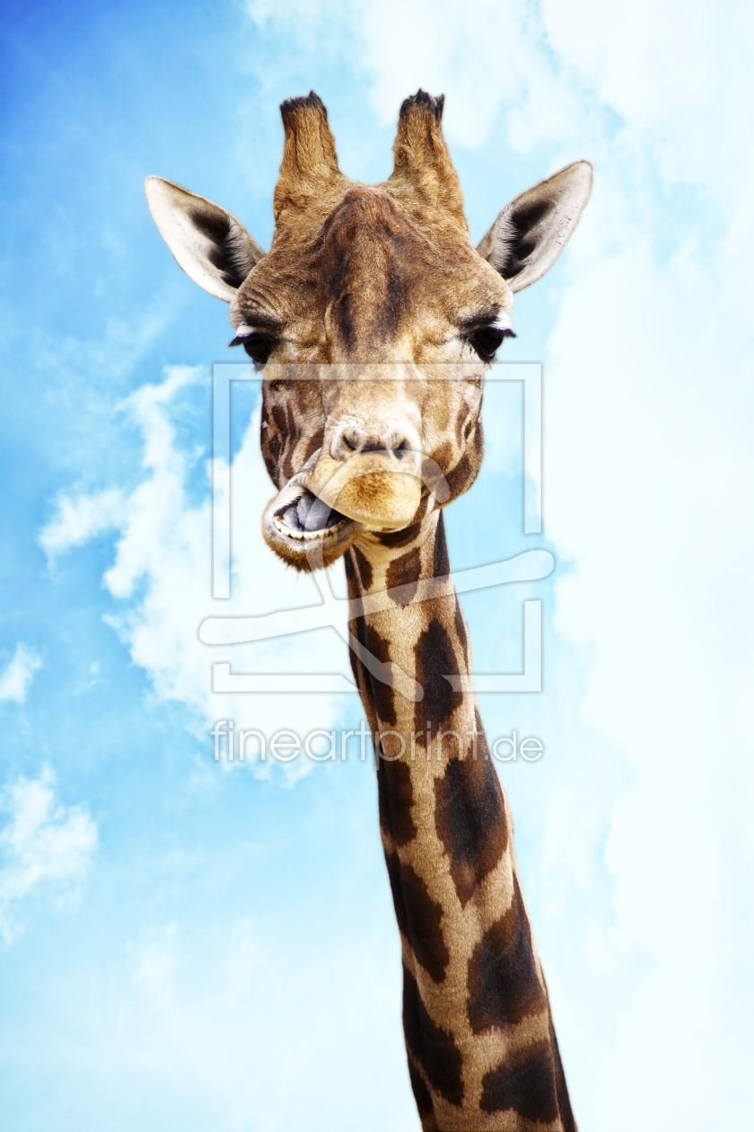 Bild-Nr.: 10347813 Giraffe erstellt von Timo Geble