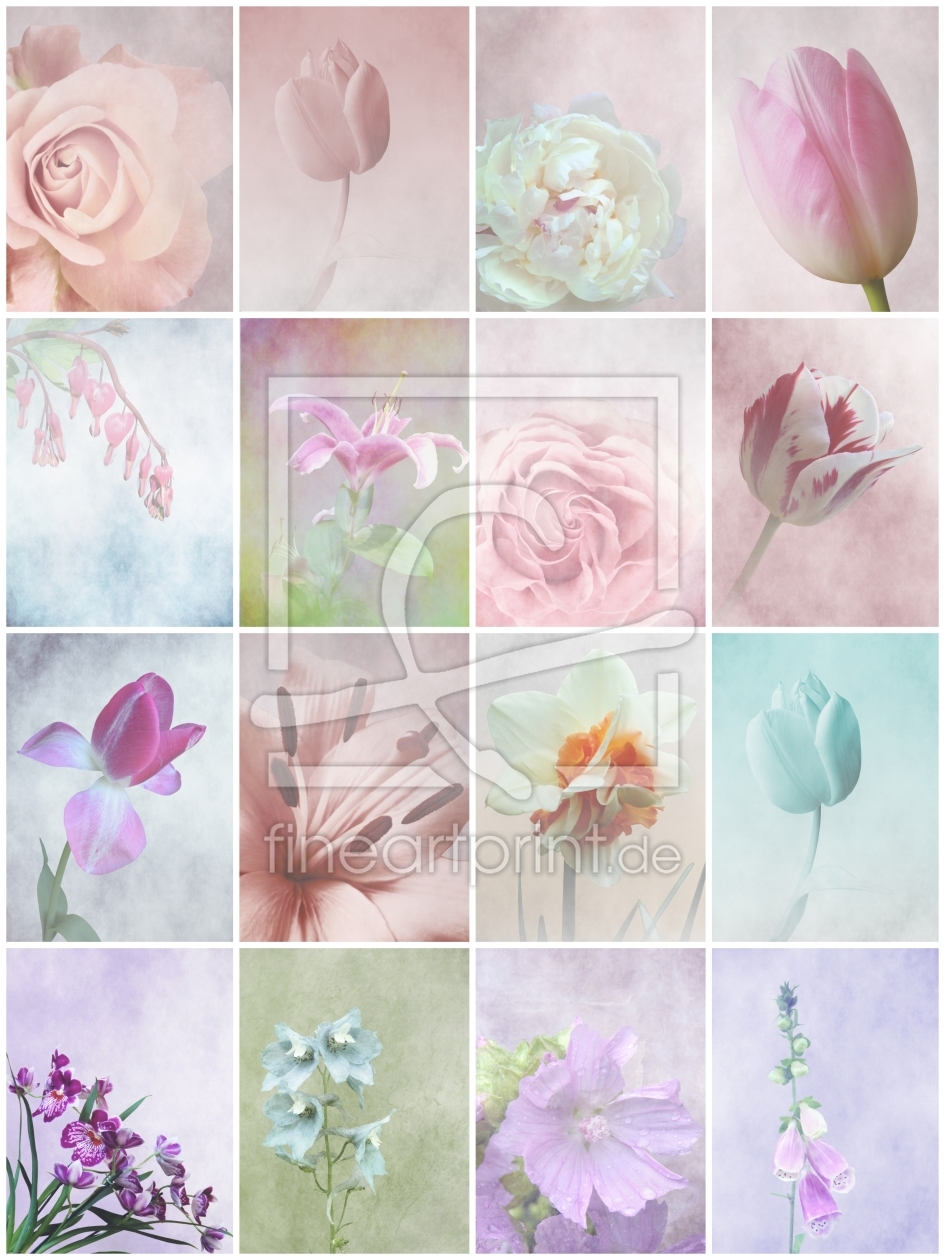 Bild-Nr.: 10348577 zarte Blüten erstellt von Anja Otto