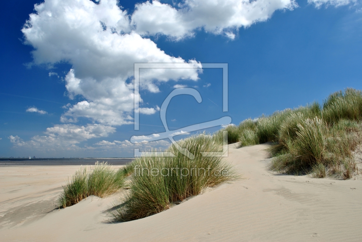 Bild-Nr.: 10351283 Dünenlandschaft  erstellt von Susanne Herppich