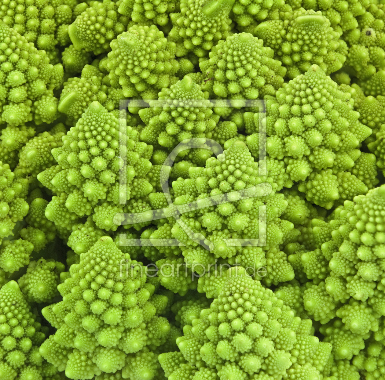 Bild-Nr.: 10356559 Romanesco Kohl erstellt von macrofan