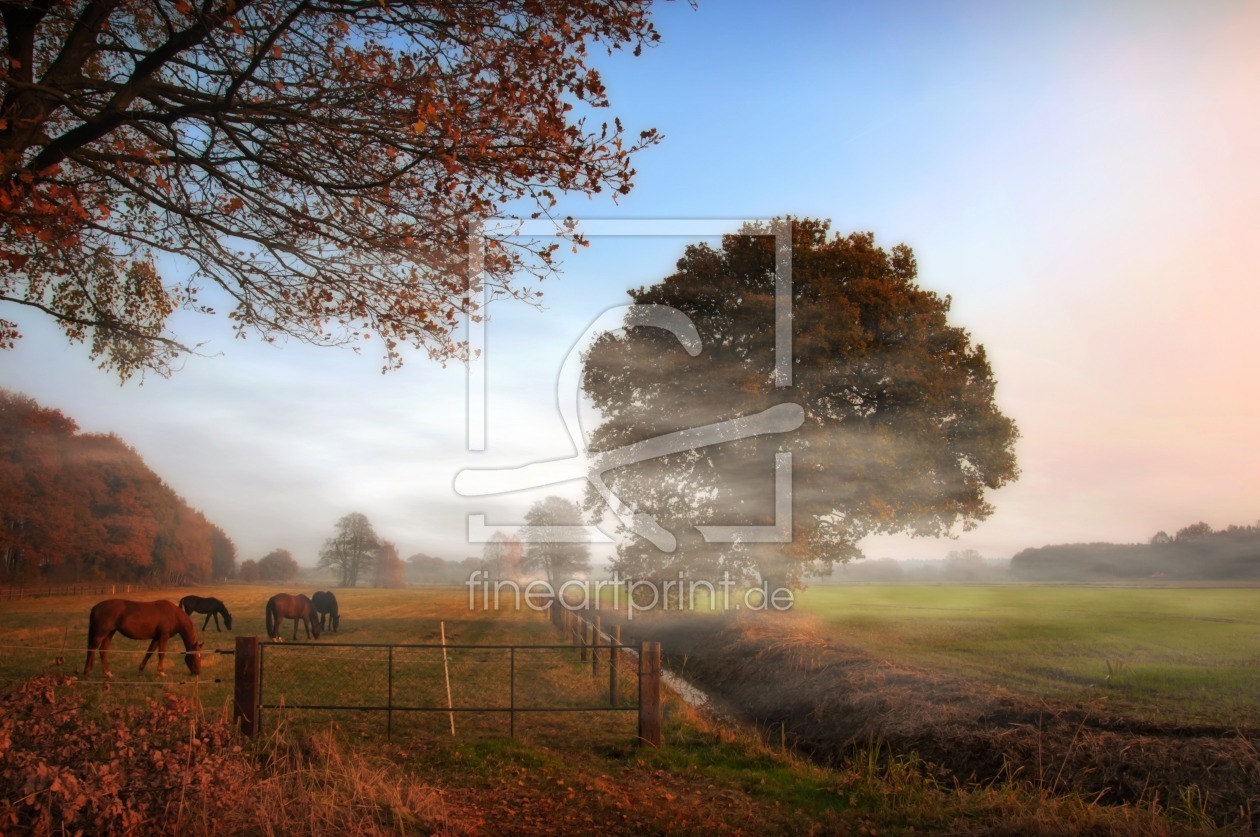 Bild-Nr.: 10356751 Herbstabend erstellt von schwanart