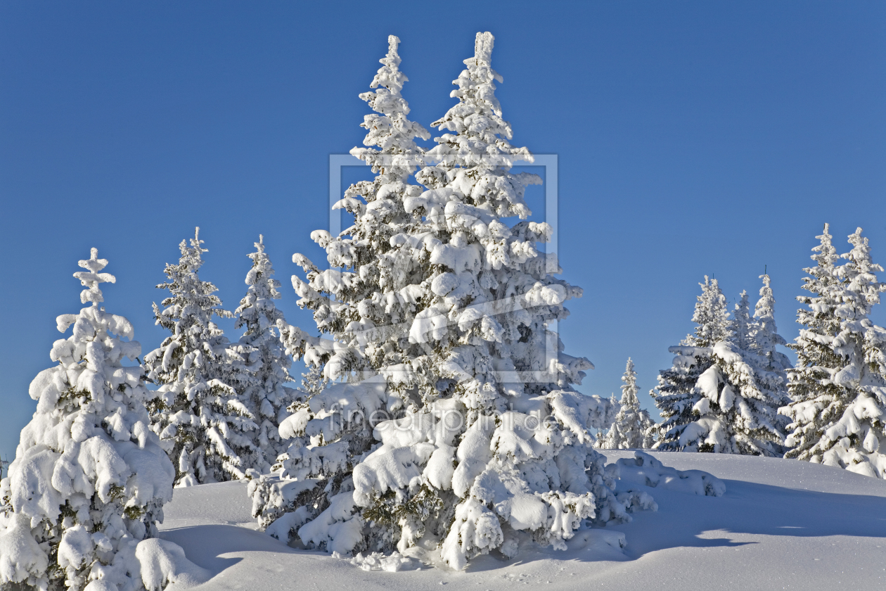 Bild-Nr.: 10359281 Wintertraum erstellt von EderHans