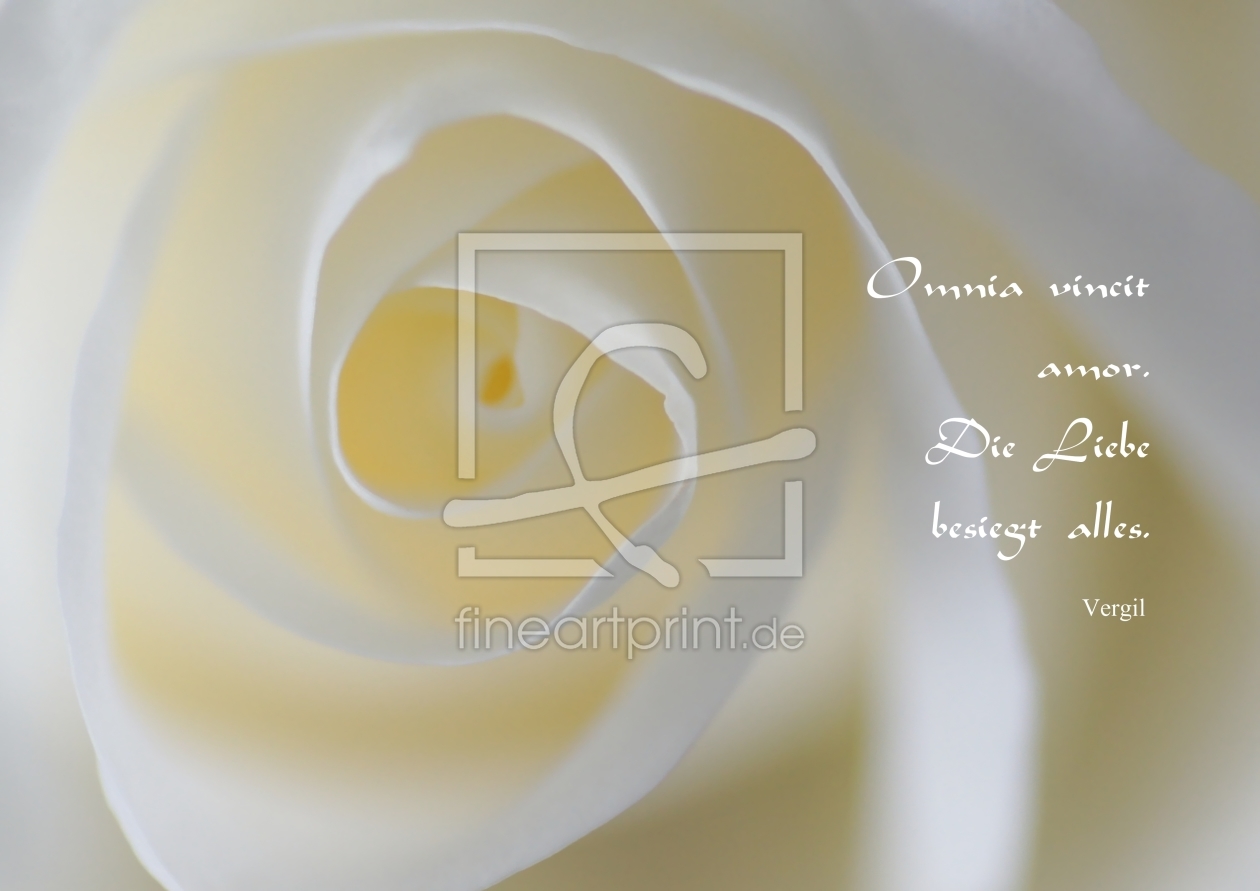 Bild-Nr.: 10363603 Omnia vincit amor erstellt von youhaveadream