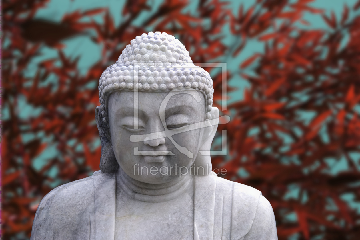 Bild-Nr.: 10365323 # buddha 02 # erstellt von hannes cmarits