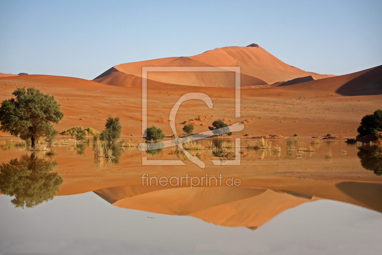 Bild-Nr.: 10366791 sussousvlei erstellt von kurta17