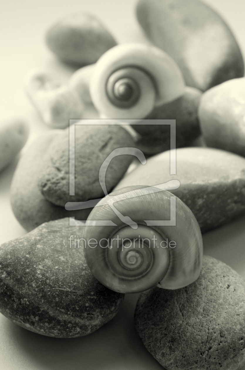 Bild-Nr.: 10366983 Escargots de nature erstellt von Tanja Riedel