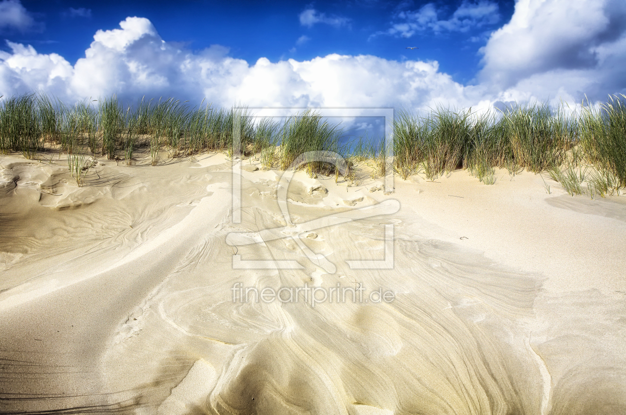 Bild-Nr.: 10376537 seagull on a dune erstellt von Timo Geble