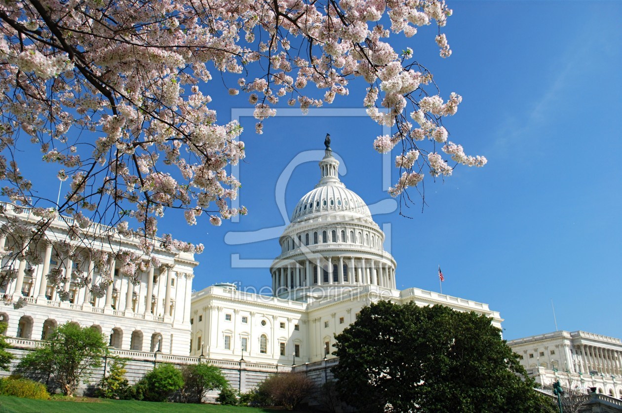 Bild-Nr.: 10379223 Kirschblüte - Capitol erstellt von UCH