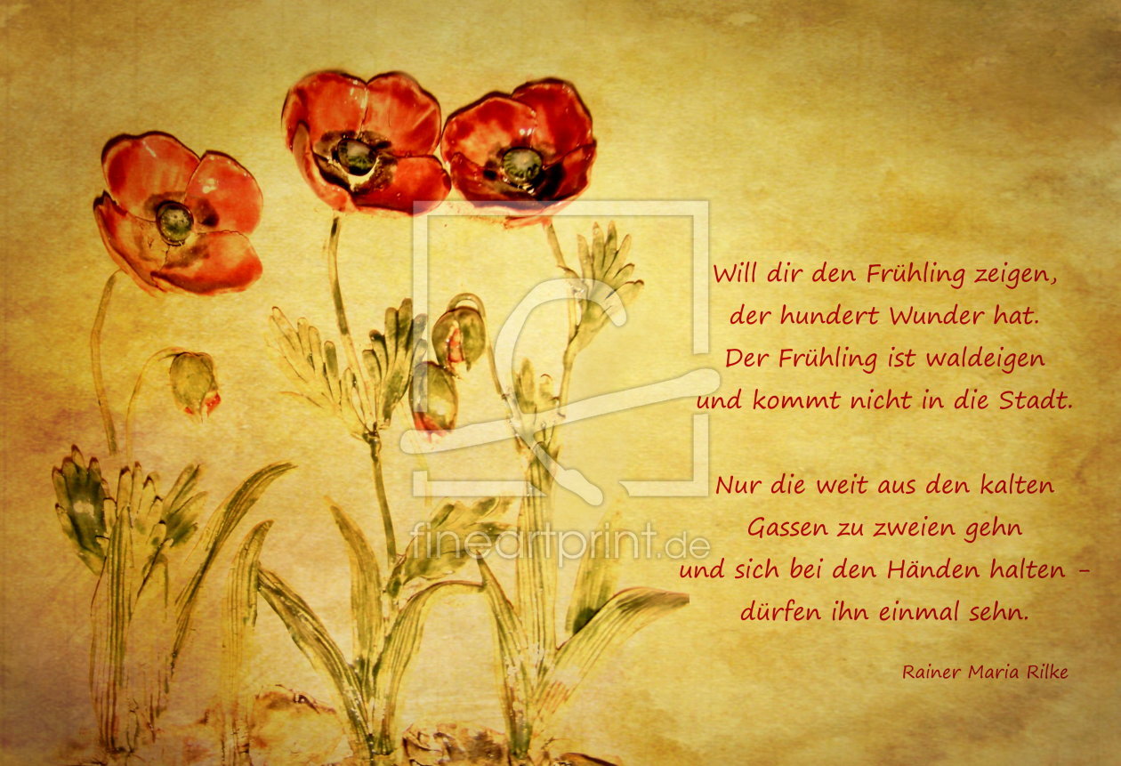 Bild-Nr.: 10380005 Frühling erstellt von Heike  Hultsch