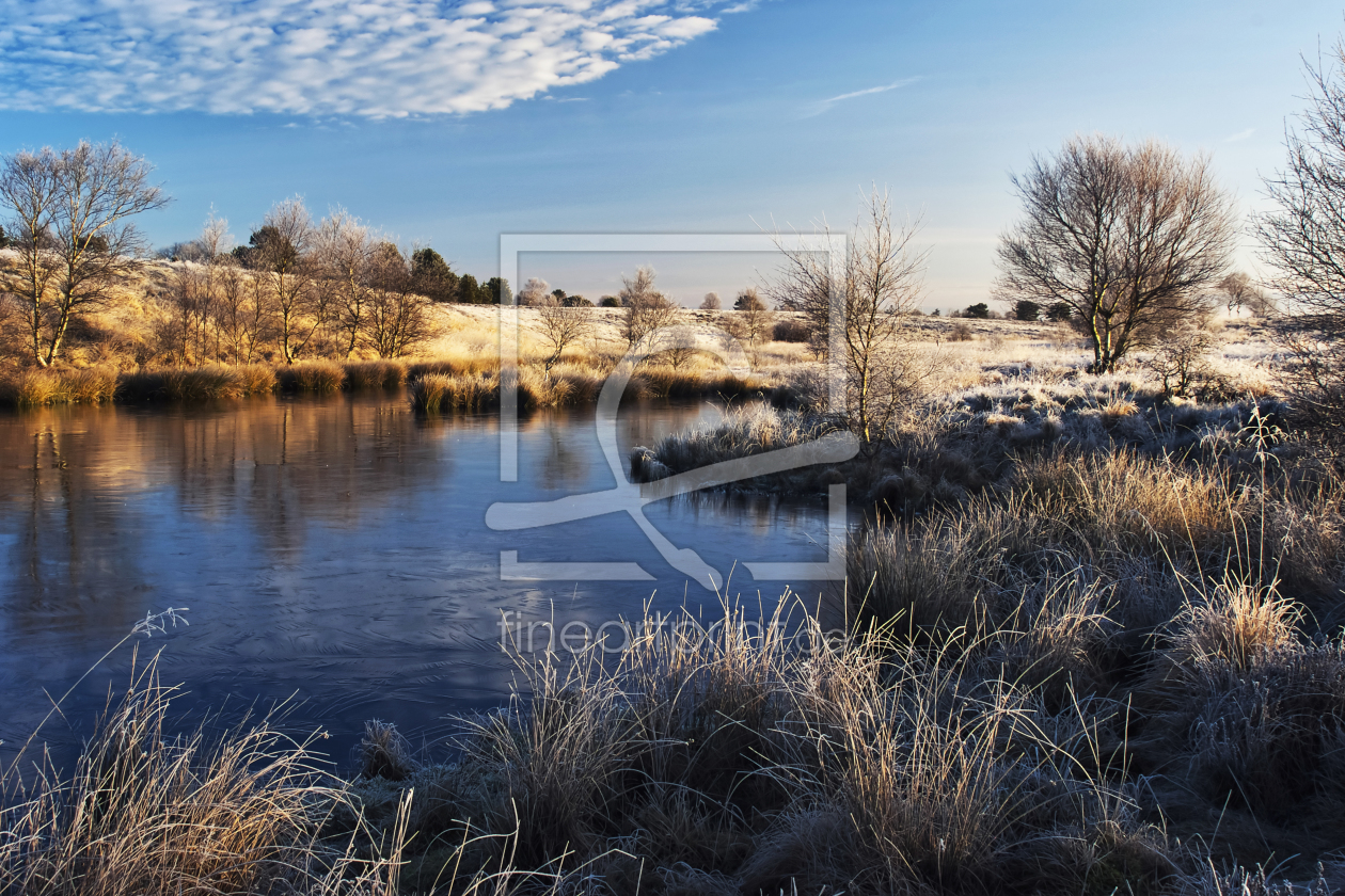 Bild-Nr.: 10380311 Frostmorgen erstellt von Digo