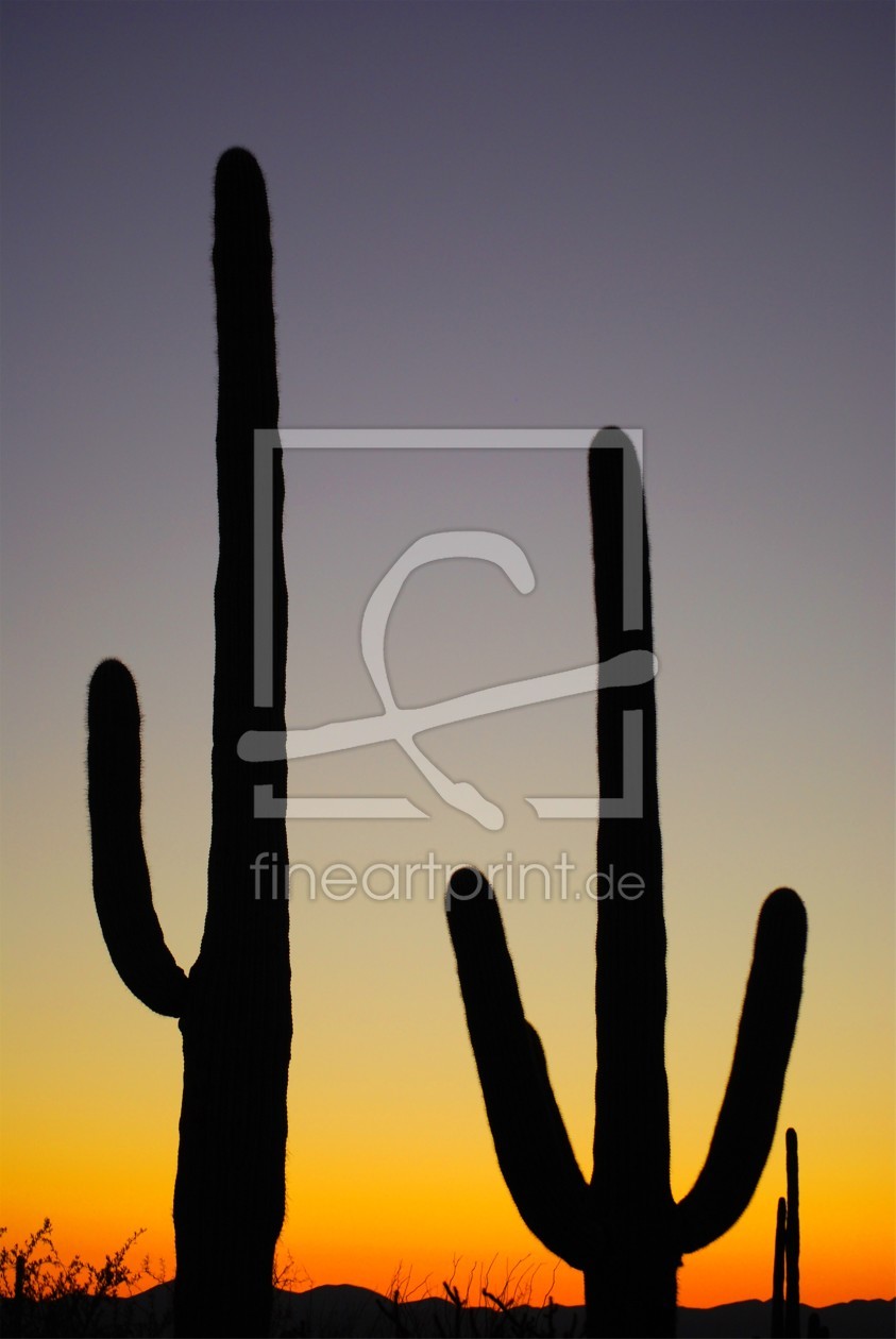 Bild-Nr.: 10383737 Saguaro National Park erstellt von UCH